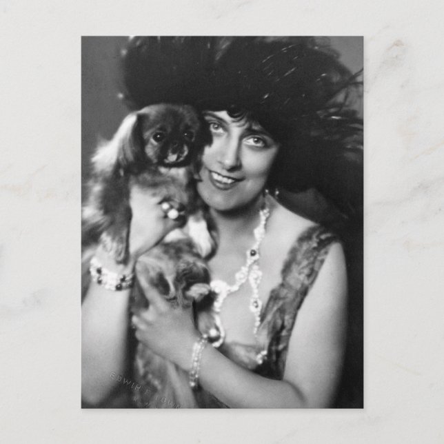 Frau mit Pekingese, 1920er Postkarte (Vorderseite)