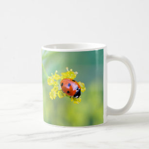 Frau oben kaffeetasse