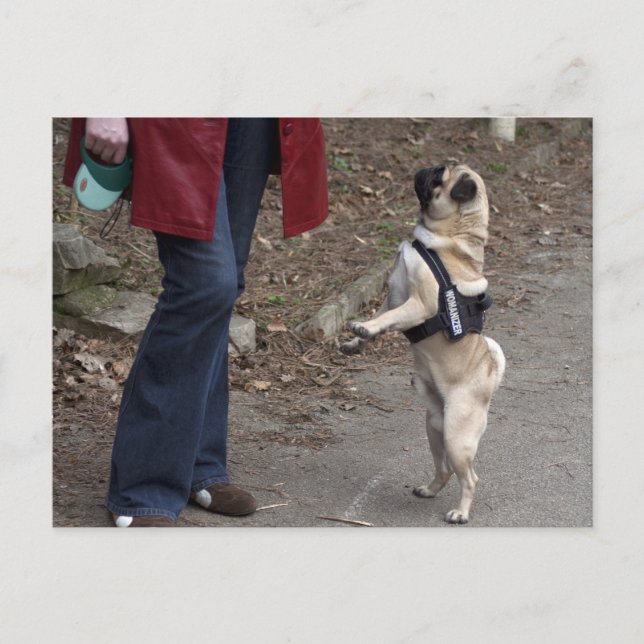 Frau Postkarte (Vorderseite)