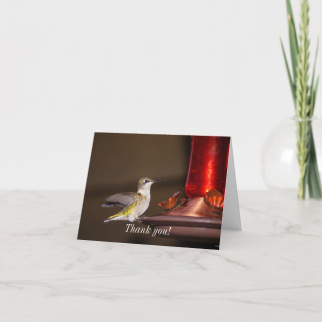 Frau Ruby-throated Hummingbird Danke Karte (Vorderseite)
