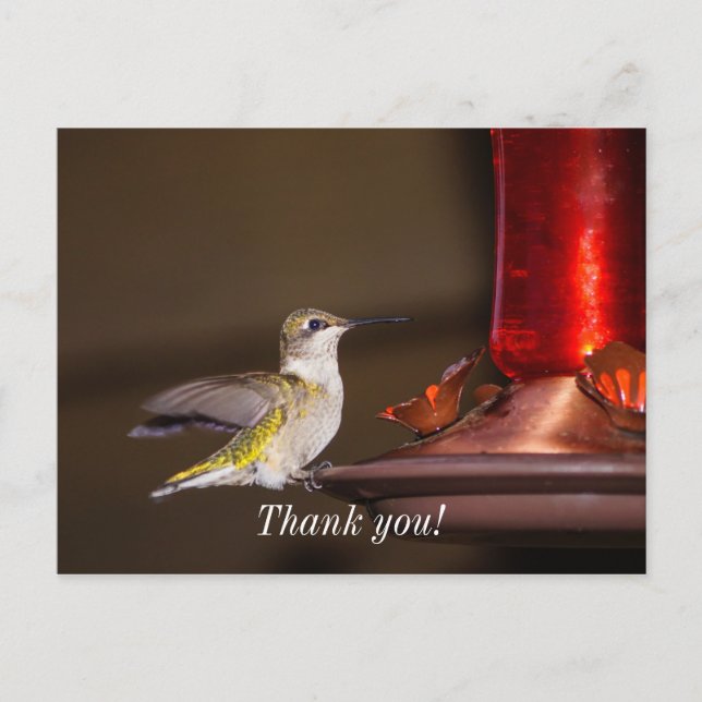 Frau Ruby-throated Hummingbird Danke Postkarte (Vorderseite)