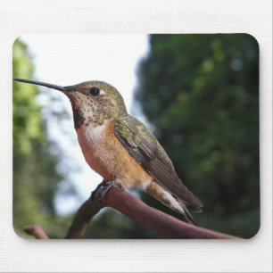 Frau Rufous Hummingbird - Mousepad