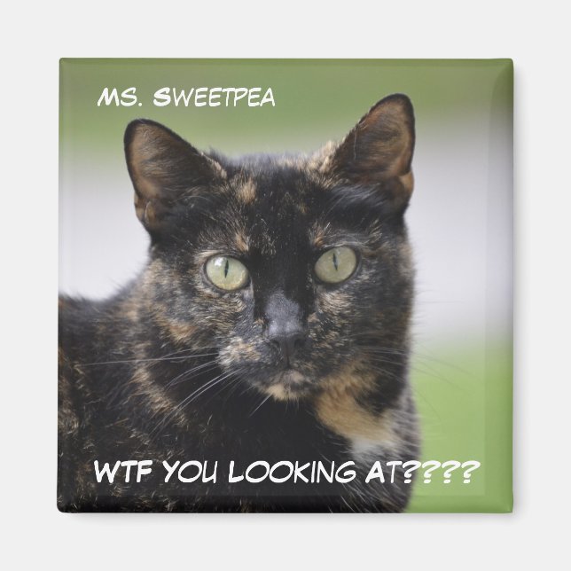 Frau Sweetpea the Tortie Magnet (Vorne)