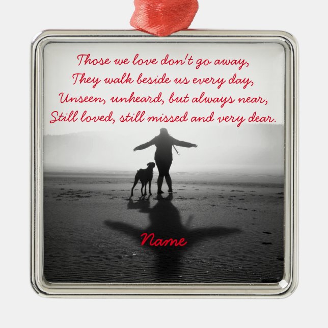 Frau und Hund - die einzigen in der Welt Silbernes Ornament (Vorne)