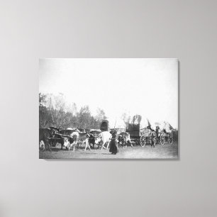 Frau und Junge mit Bullwhackers im Ochsen-Zug Leinwanddruck