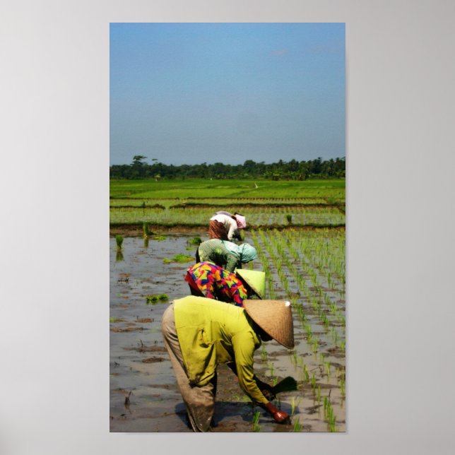 Frauen am Arbeitsplatz Poster (Vorne)