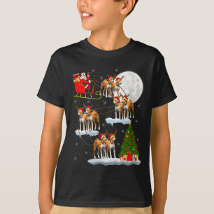 Frauen Basenji Hund Weihnachtsmann Schlitten Flieg T-Shirt