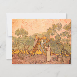 Frauen beim Olivenpflücken von van Gogh: Postkarte