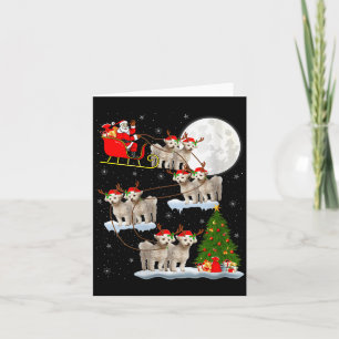 Frauen Bichon Frise Hund Weihnachtsmann Schlitten Karte