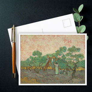 Frauen, die Oliven picken, Van Gogh Postkarte