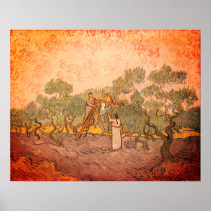 Frauen, die Oliven von van Gogh picken: Poster
