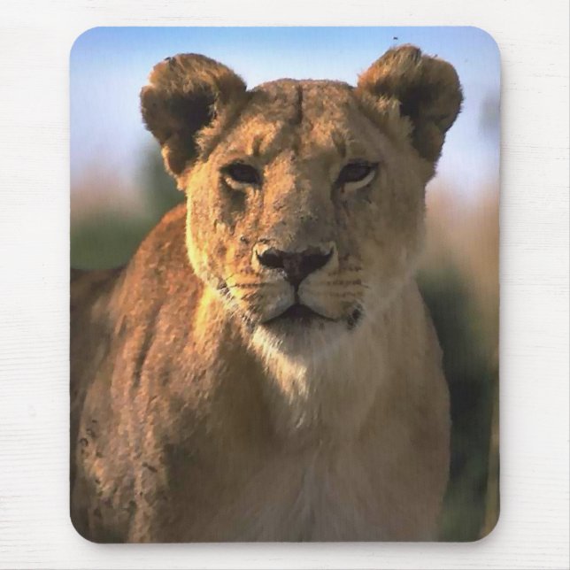 Frauen Lioness Löwe Gift Mousepad (Vorne)