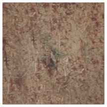 Frauen mit weißem Pferd - LG Print