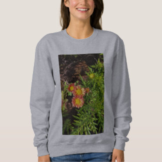Frauen neue Design-Trikots und mehr Sweatshirt