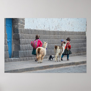 Frauen und Alpacas, Cusco, Peru Poster