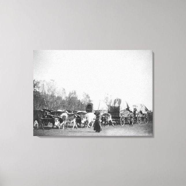 Frauen und Junge mit Bullwhackern im Ox Train Leinwanddruck (Vorderseite)