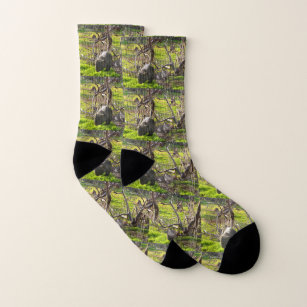 Frauen und Kängurus, Socken
