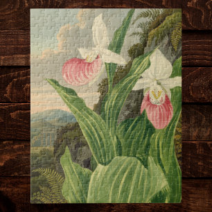 Frauenschuh alte Floral Orchidee Botanik Puzzle