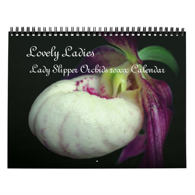 Frauenschuh-Orchideenblüten Kalender (Titelbild)