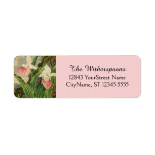 Frauenschuh Vintage-Blumen-Orchidee Botanisch
