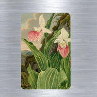 Frauenschuh Vintage-Botanik-Orchidee