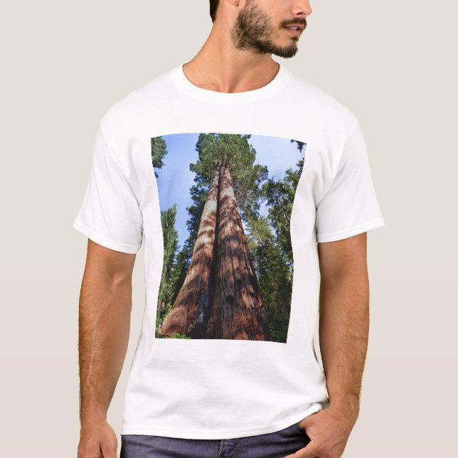 Frauenvideotaping an der Basis von massiven Sequoi T-Shirt (Vorderseite)