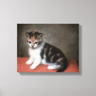 Fräulein Ann Whites Kitten, 1790 George-Stubbs   Leinwanddruck