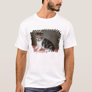 Fräulein Ann Whites Kitten, 1790 George-Stubbs   T-Shirt