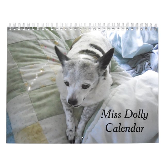 Fräulein Dolly Calendar Kalender (Titelbild)