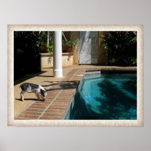 Fräulein Piggy im Paradies Poster