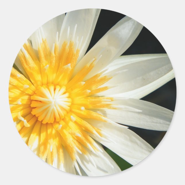 Fräulein Sunshine Runder Aufkleber (Vorderseite)