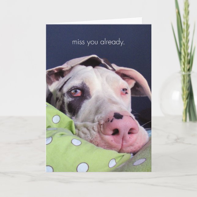 Fräulein You Already Karte (Vorderseite)