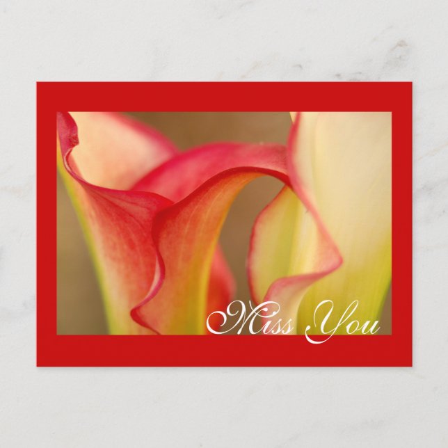 Fräuleinyou Calla-Lilien-Postkarte Postkarte (Vorderseite)