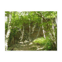 Frazier Discovery Trail bei Shenandoah Fotografy