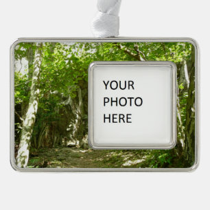 Frazier Discovery Trail bei Shenandoah Fotografy Rahmen-Ornament Silber