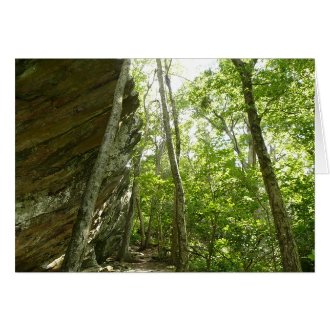 Frazier Rock Wall im Shenandoah-Nationalpark (Vorderseite (Horizontal))