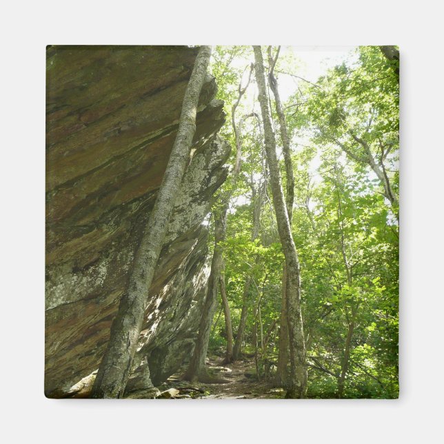 Frazier Rock Wall im Shenandoah-Nationalpark Magnet (Vorne)