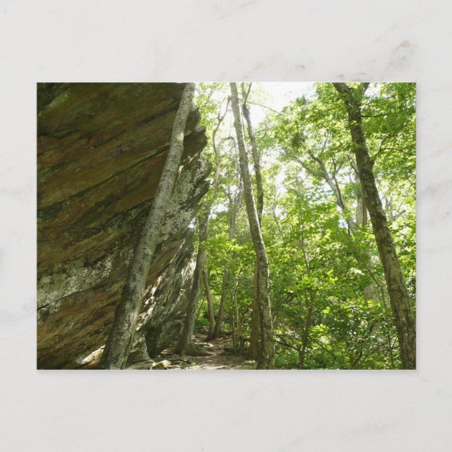 Frazier Rock Wall im Shenandoah-Nationalpark Postkarte (Vorderseite)