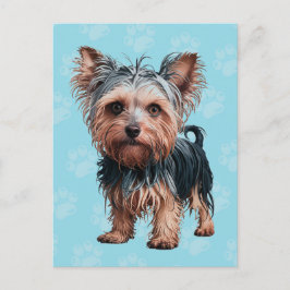 Frazzled Yorkie Dog Postcard Yorkshire Terrier Postkarte