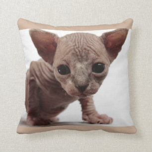 Freaky Niedlich Furless Sphynx Kitten Kissen