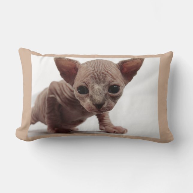 Freaky Niedlich Furless Sphynx Kitten Lendenkissen (Vorderseite)