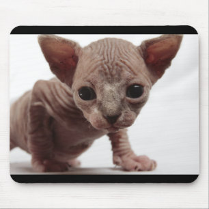 Freaky Niedlich Furless Sphynx Kitten Mousepad