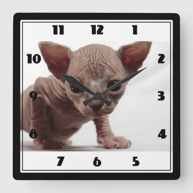 Freaky Niedlich Furless Sphynx Kitten Quadratische Wanduhr (Vorderseite)