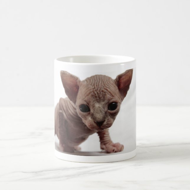 Freaky Niedlich Furless Sphynx Kitten Tasse (Mittel)