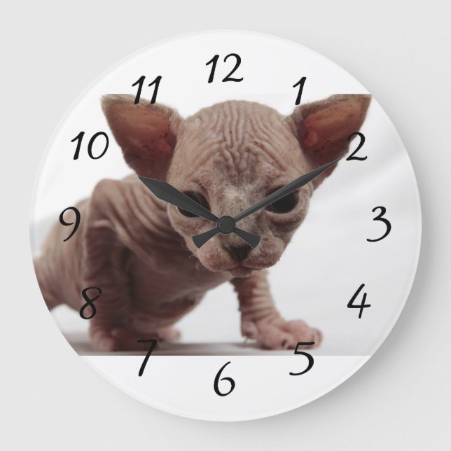 Freaky niedliches Furless Sphynx Kätzchen Große Wanduhr (Vorderseite)