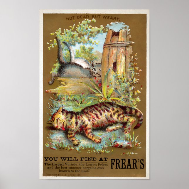 Frears Cat Trade Card Nr. 5 (von 6) Poster (Vorne)