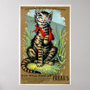 Frears Cat Trade Card Nr. 6 (von 6) Poster