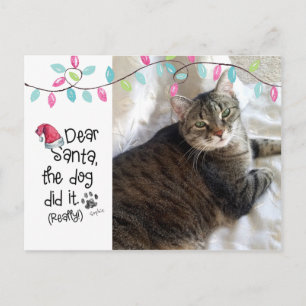 Freche Katze Lustiger Lieber Santa Brief Foto Katz Feiertagspostkarte