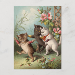 Freche Katzen Postkarte