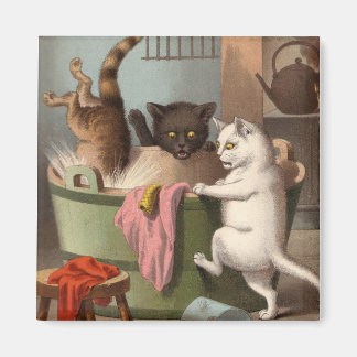 Freche Katzen - Waschtag Kühlschrankmagnet Magnet
